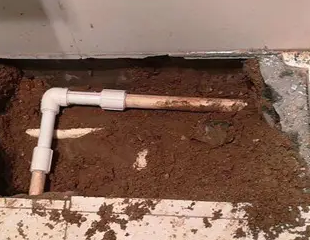 通辽市测漏水哪家好