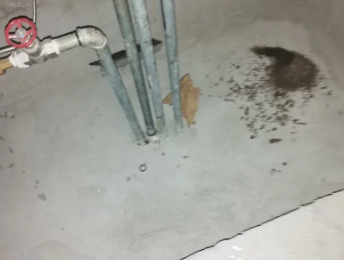 通辽市卫生间测漏水价格明细